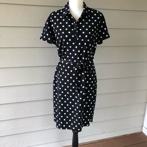 Ann Taylor Polka Dot Dress
